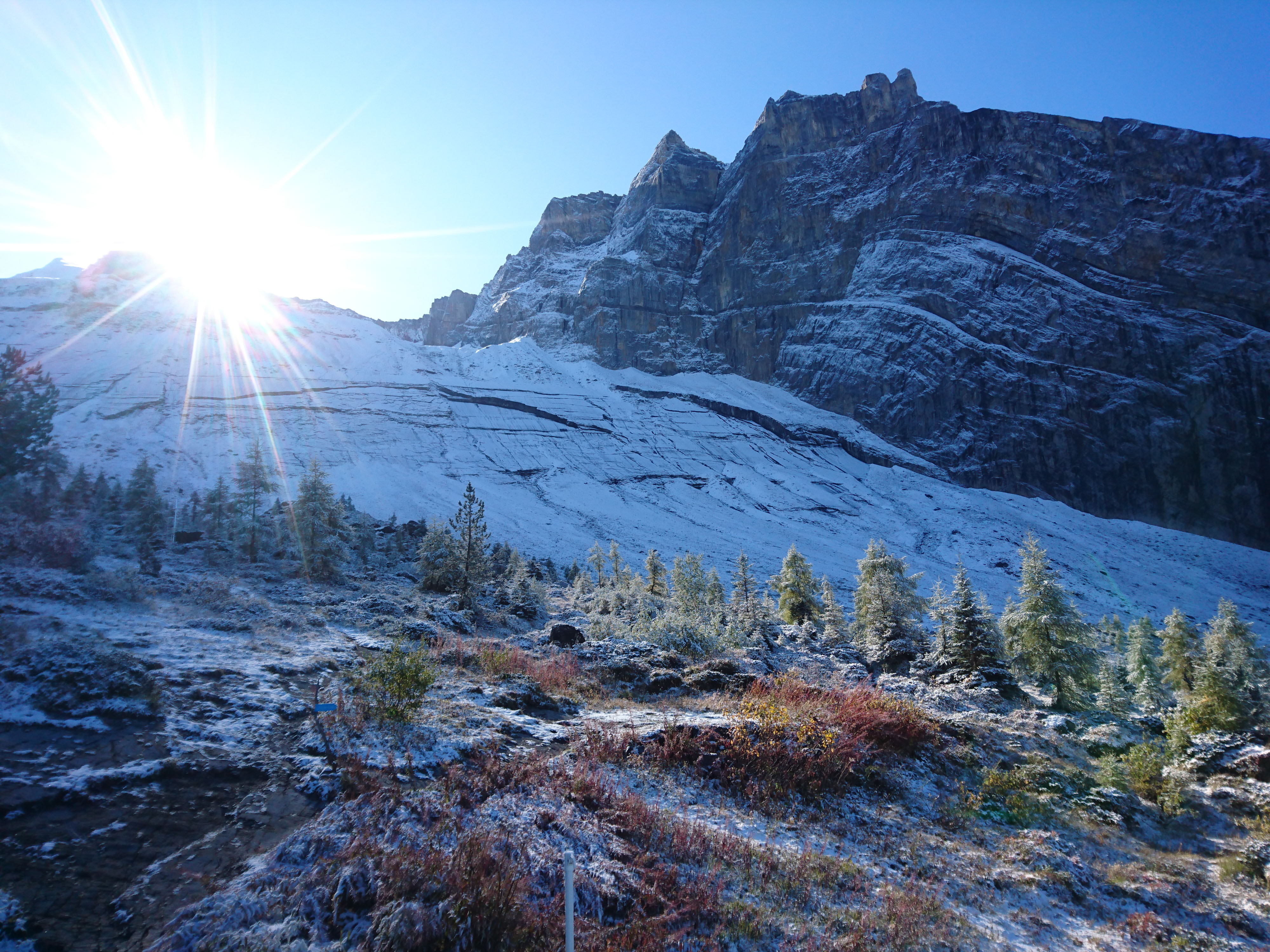 Projekt von Präsidentenkonferenz genehmigt
