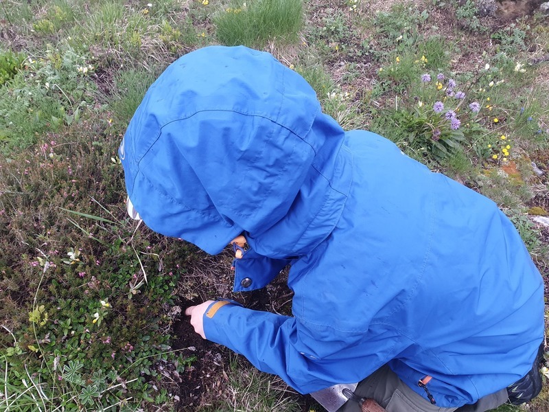 KiBe bekommt Flügel - und die Doldenhornhütte neue Bäume